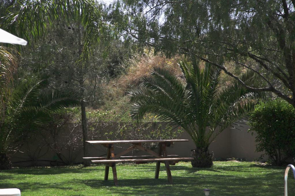 Eve Pissouri Rozaki Villa Rum bild