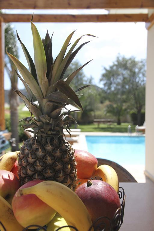 Eve Pissouri Rozaki Villa Rum bild